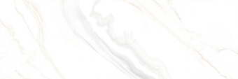 24340_36476_full