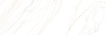 24340_36471_full