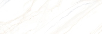 24340_36472_full
