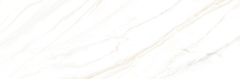 24340_36477_full